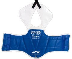 Dragon Taekwondo Safeguard
