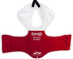 Dragon Taekwondo Safeguard